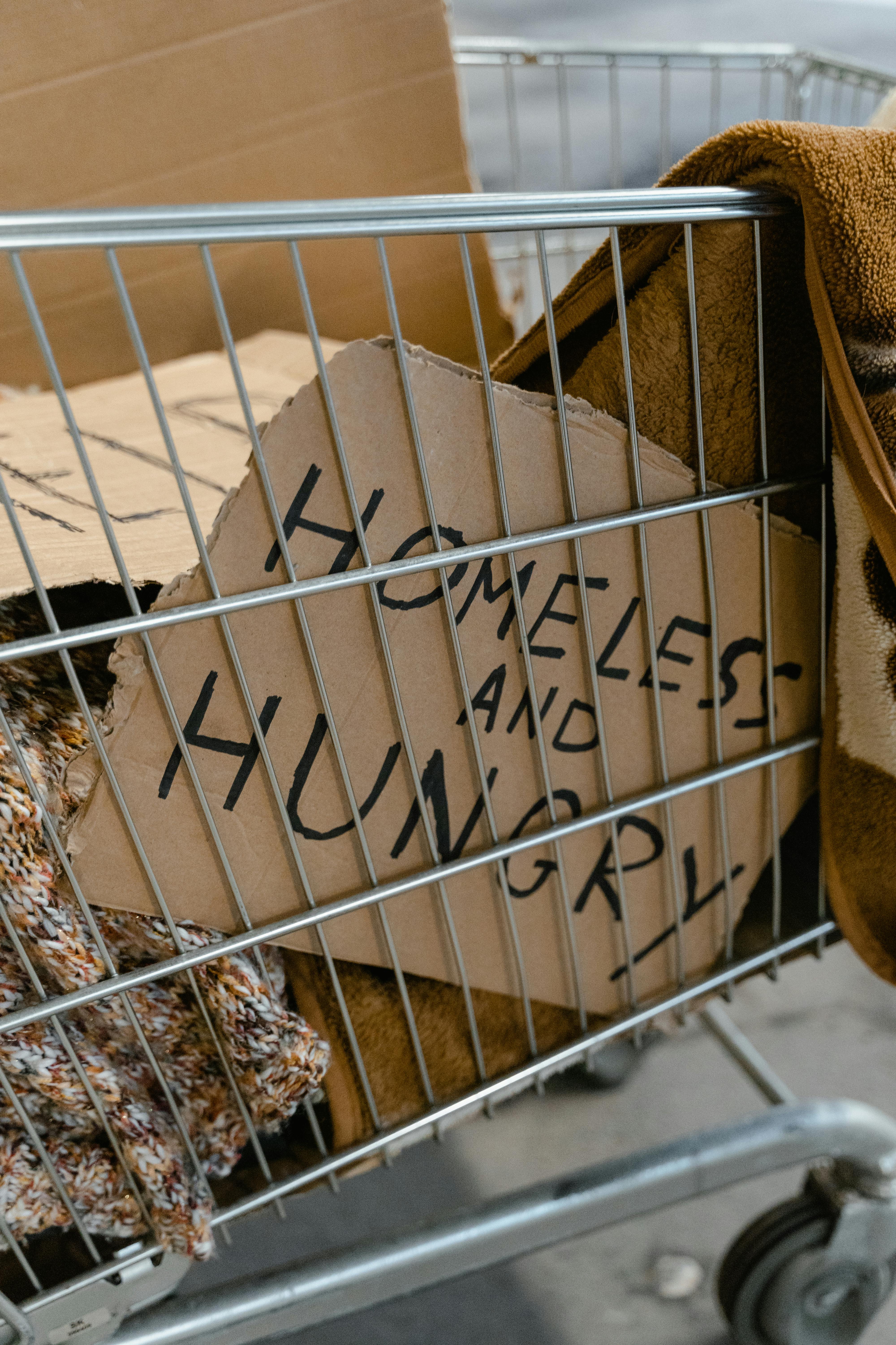 Image of a placard reading 'Homeless and Hungry' placed in a cart.