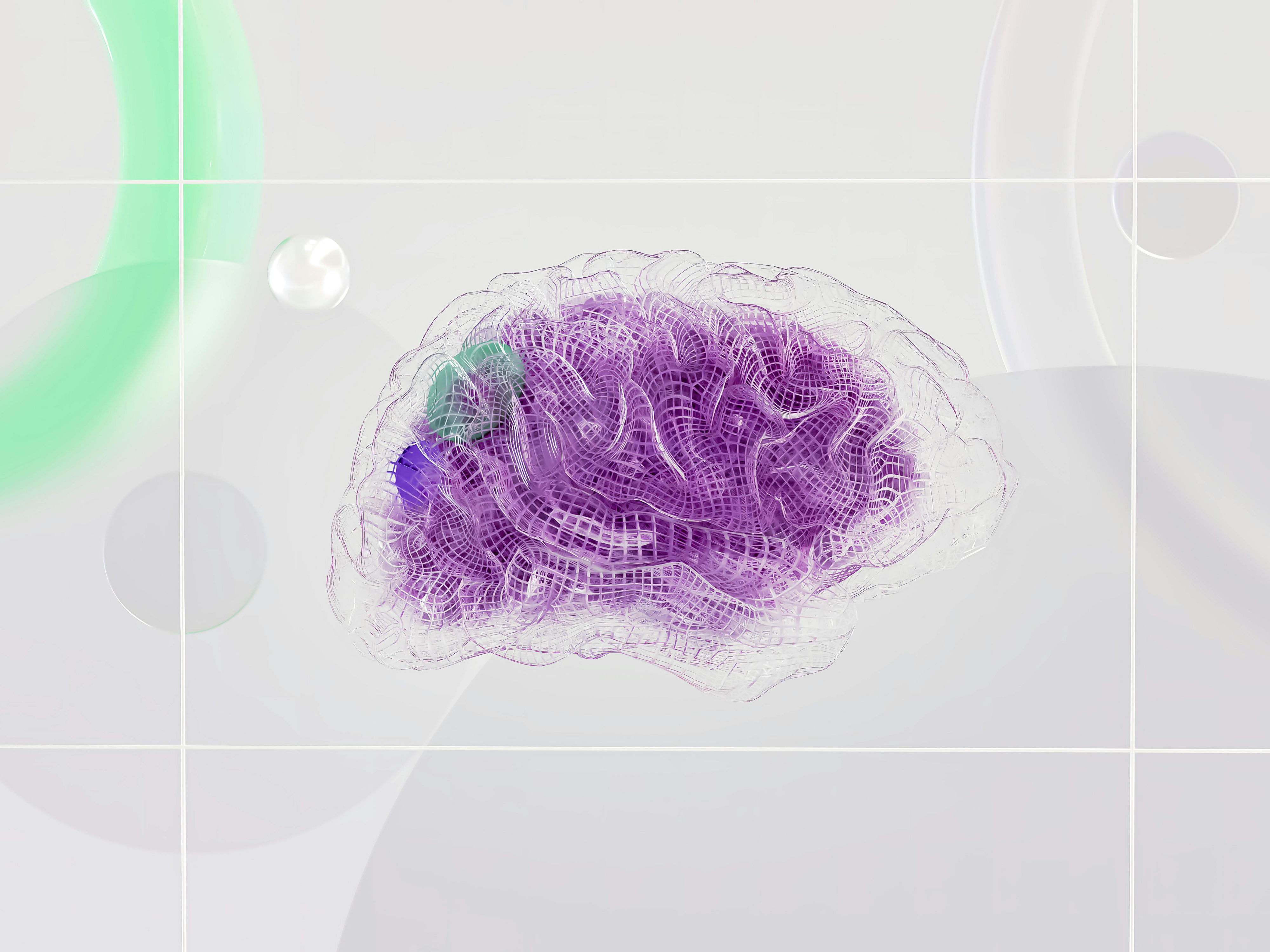 image of brain