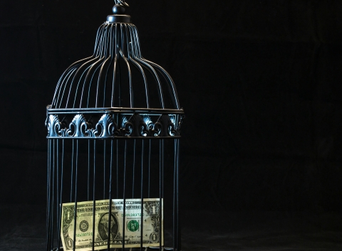 Dollar bill in a cage