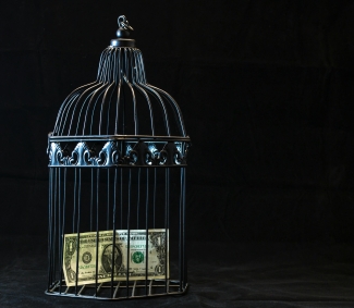 Dollar bill in a cage