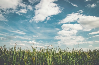 A rural farm 