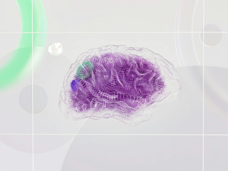image of brain
